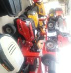 Cub cadet Wolf Garten Vena