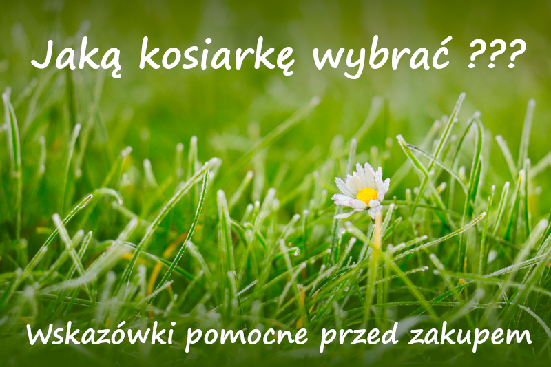 jaka kosiarka najlepsza poradnik - jak wybrać kosiarkę dla swojego trawnika