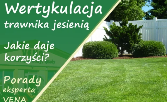 VENA Strzyżów Podkarpackie 2 Wertykulacja trawnika jesienią - Jakie daje korzyści