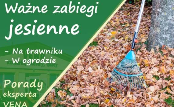 VENA Strzyżów Podkarpackie 1 Ważne zabiegi jesienne na trawniku i w ogrodzie
